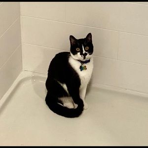 Meet your Posher, Bobbi